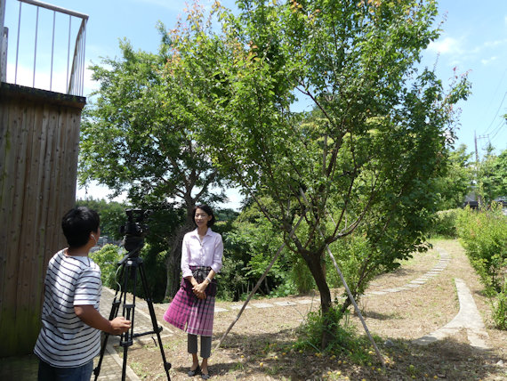 杉田梅をtvkニュースハーバーで特集
