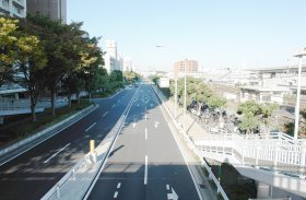 お散歩コース