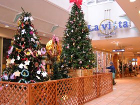 ��т����V���c�̏���t��