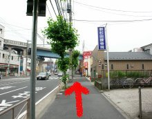 PU̎ʐ^
