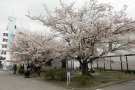 動物検疫所