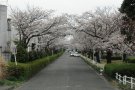 オイリオとIHIの間