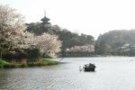 三溪園