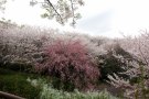 汐見台中の前