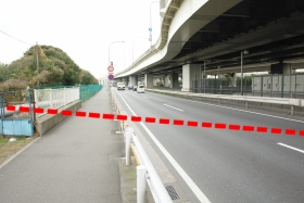 RTV拫