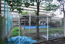 IHIの土俵