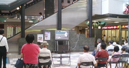 �v�����̖싅���p