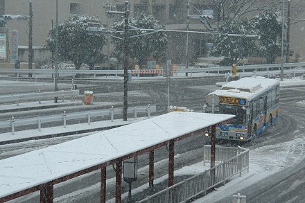 ��q�w�O�̐�i�F�Q