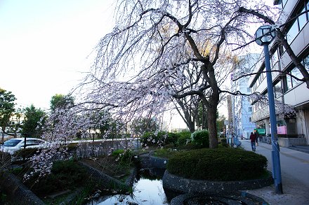 ��q�̂������