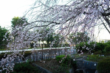 ��q�̂������