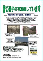 ��q�̐̂̎ʐ^��W