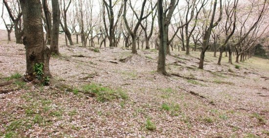 久良岐公園