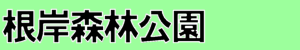 ݐXь