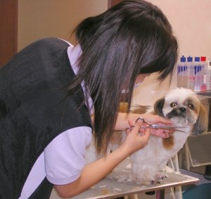 g~O̎ʐ^