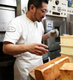 �_�c�V�F�t