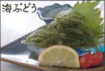 海ぶどう