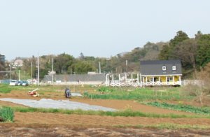 氷取沢ファミリー牧場近辺の写真