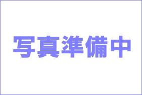 ʐ^