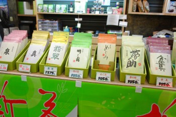 増田園の新茶