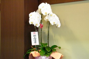 杉山清貴さんからのお花