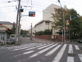 wZ