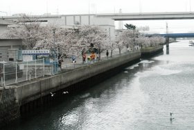 �������u���̍��P