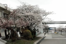 �������u���̍��R