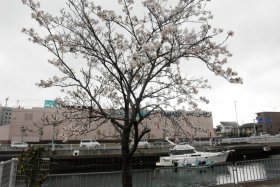 �������u���̍��S