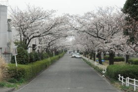 �I�C���I�Ƃh�g�h�̊Ԃ̍��P