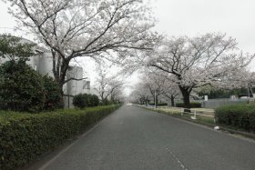 �I�C���I�Ƃh�g�h�̊Ԃ̍��Q