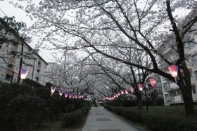 �m����k�c�n�̍��P