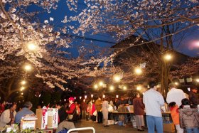 �m����k�c�n�̍��R