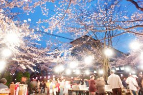 �m����k�c�n�̍��S