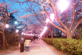 �m����k�c�n�̍��T