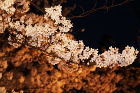 �m����k�c�n�̍��U