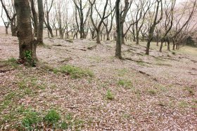 久良岐公園