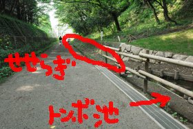 炬v