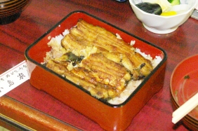 天然うなぎ2