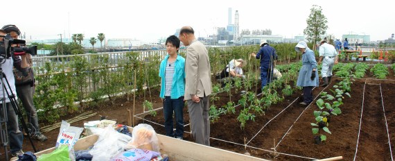 海の見える畑