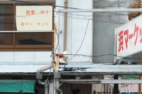 \莆