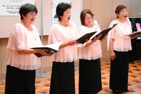 ���؏��������c