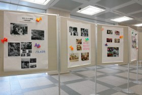 �p�l���W��