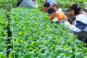 海の見える公園で収穫祭