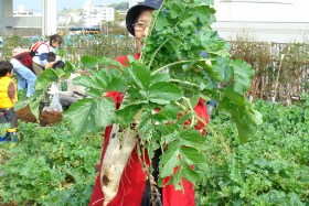 海の見える公園で収穫祭