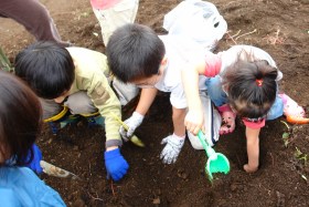海の見える公園で収穫祭