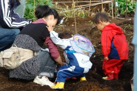 海の見える公園で収穫祭
