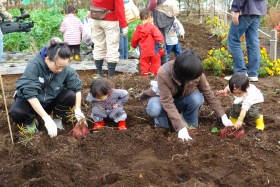 海の見える公園で収穫祭