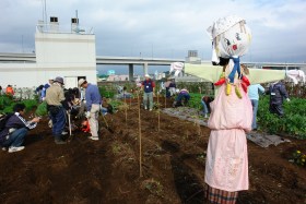海の見える公園で収穫祭