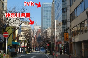 tvk