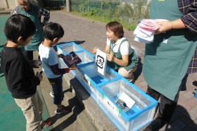 森東小の畑